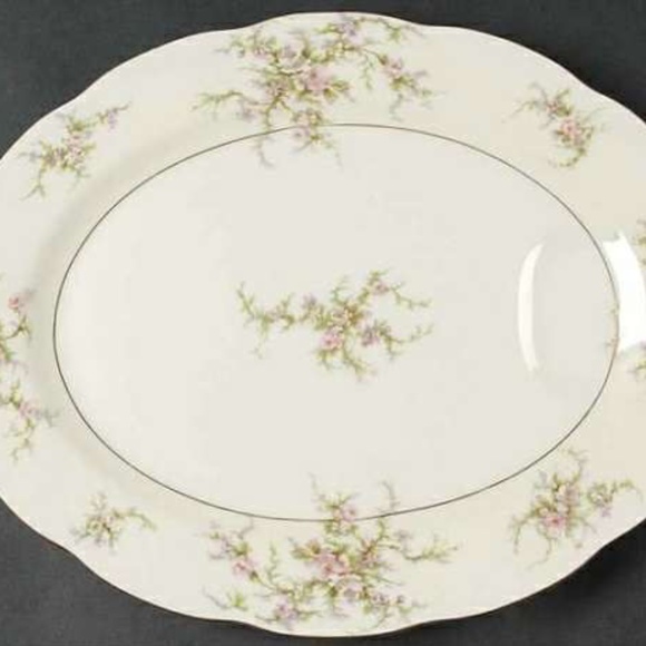 "Rosalinde" by Thomas Haviland 14" Oval Serving Platter with Juice Well - Picture 1 of 2
